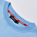 Gothic Letter Embroidery Baby Blue Crewneck Sweatshirt Unisex Loose Fit Long Sleeve Pullover Streetwear Casual Daily Oversized Sweat Top