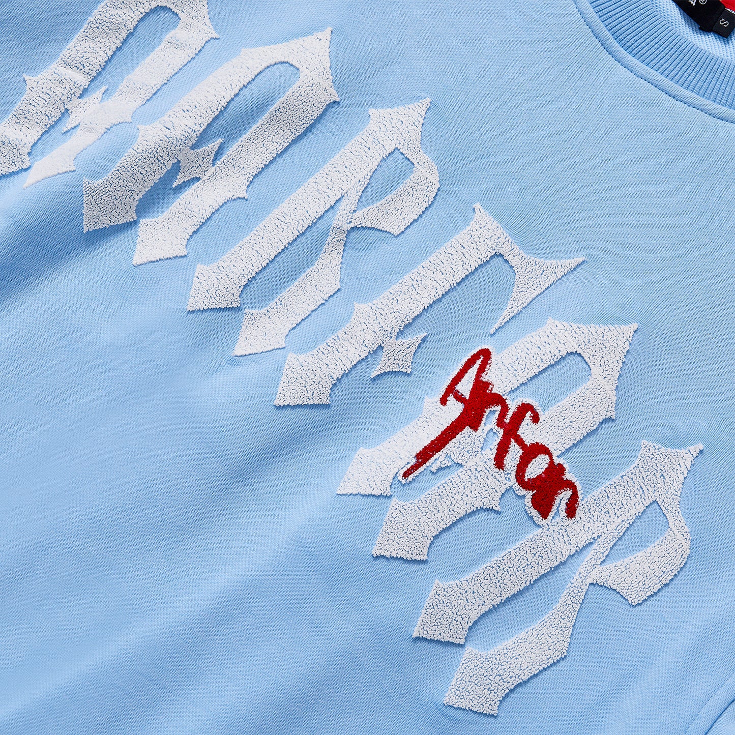 Gothic Letter Embroidery Baby Blue Crewneck Sweatshirt Unisex Loose Fit Long Sleeve Pullover Streetwear Casual Daily Oversized Sweat Top