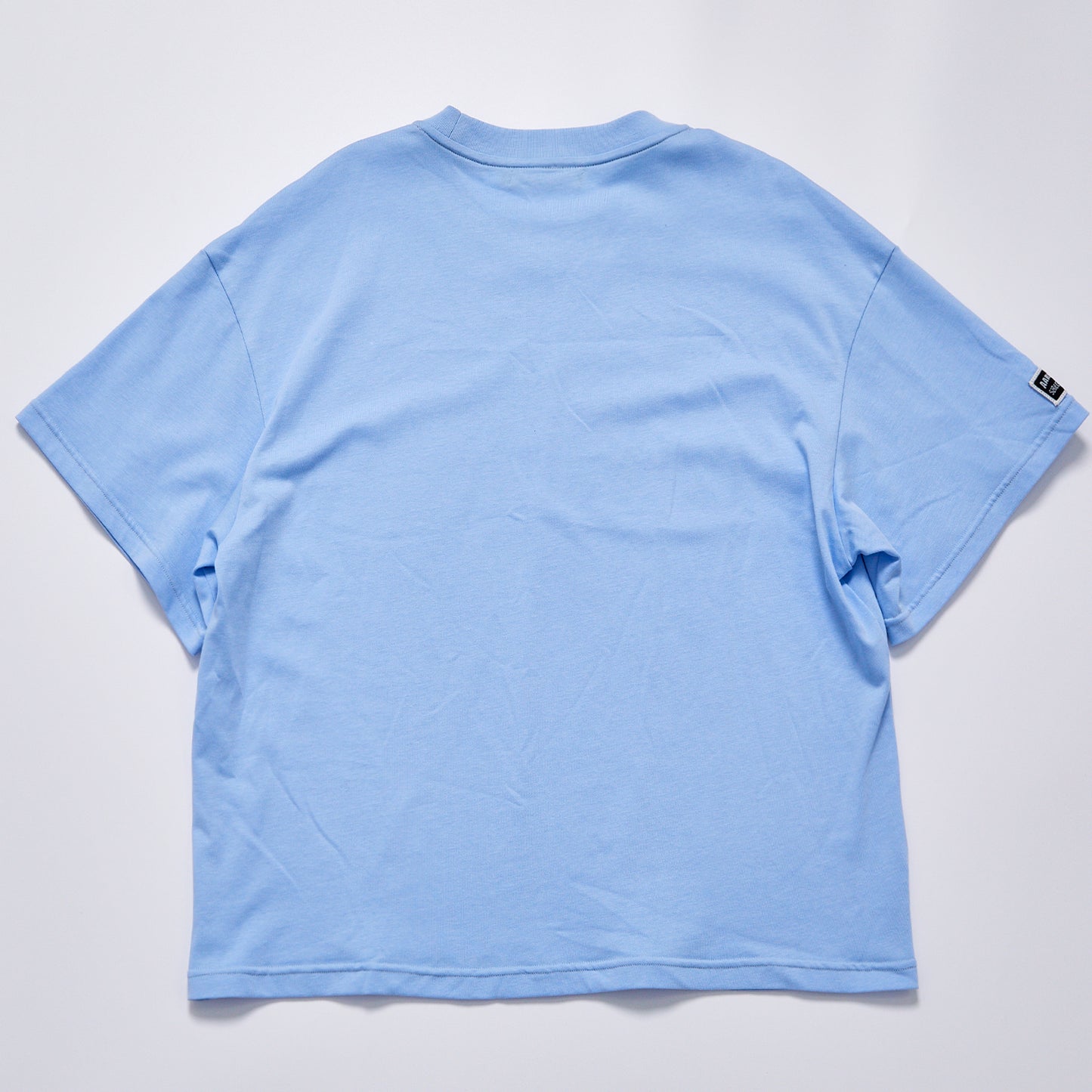 Solid Light Blue Plain Crew Neck Loose Oversized Short Sleeve Tee Unisex Daily Basic Cotton T-Shirt Casual Minimalist Streetwear Blank Tee Top